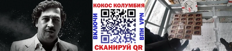 закладка  Отрадная  сайты даркнета какой сайт  КОКАИН Columbia 