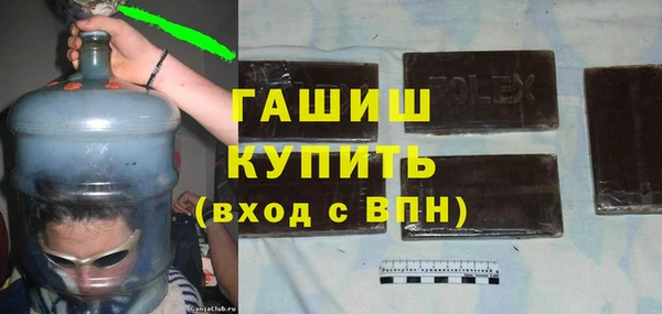 индика Дмитров