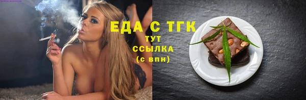 индика Дмитров