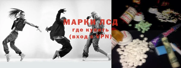 индика Дмитров