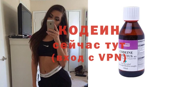 индика Дмитров