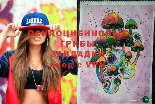 индика Дмитров