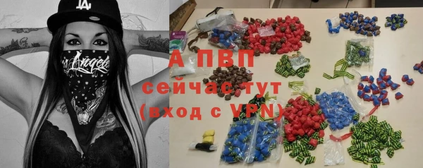 индика Дмитров