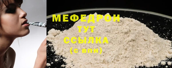 индика Дмитров