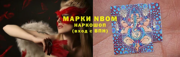 индика Дмитров
