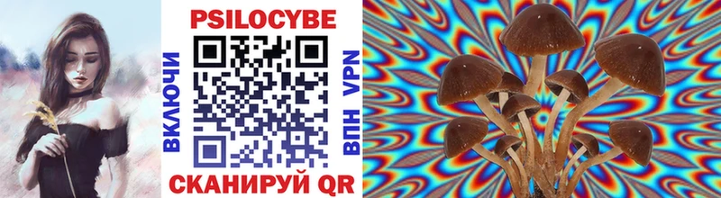 Галлюциногенные грибы Psilocybine cubensis  Отрадная 